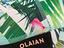 Immagine 3
