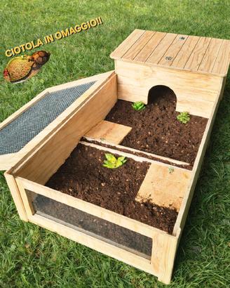 TERRARIO CON CASETTA PER TARTARUGHE DI TERRA 