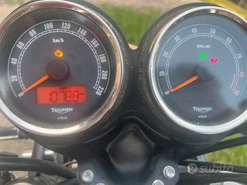 Triumph T 100 