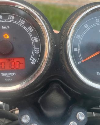 Triumph T 100 