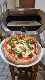 Forno a gas per pizza  professionale 