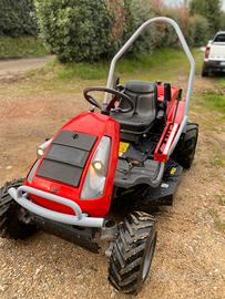 Trattorino trinciaerba 4x4 efco