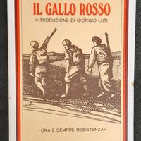 Romanzo Il gallo rosso.  Giovanni Dusi I tascabili