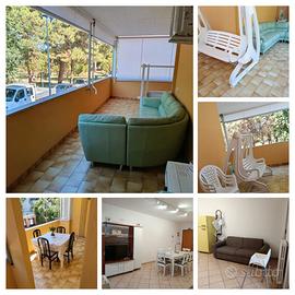 Appartamento su pineta al mare Montesilvano (PE)
