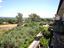 Immagine 16