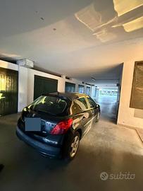 Peugeut 207 anno 2009