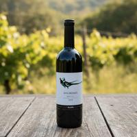 Barolo Gaja Dagromis 2019