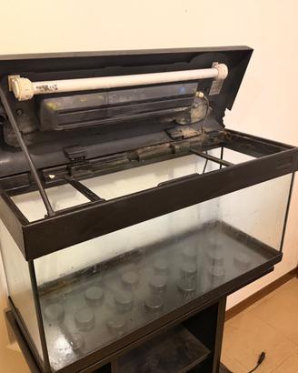 Acquario 80 L