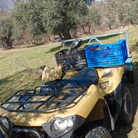 Kawasaki brute force 750