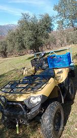 Kawasaki brute force 750