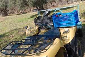 Kawasaki brute force 750