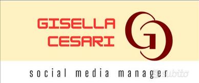 Social media manager