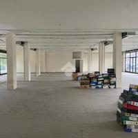 NEGOZIO A BUSSOLENGO