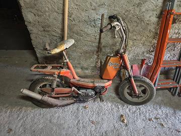 motorino cimatti minichic