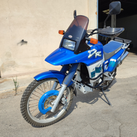 Suzuki dr big 800