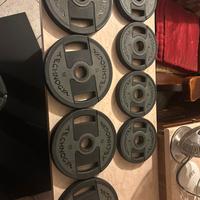 Dischi technogym gommati