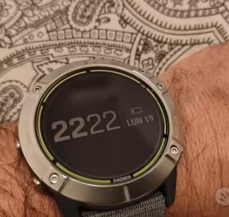 Garmin Enduro