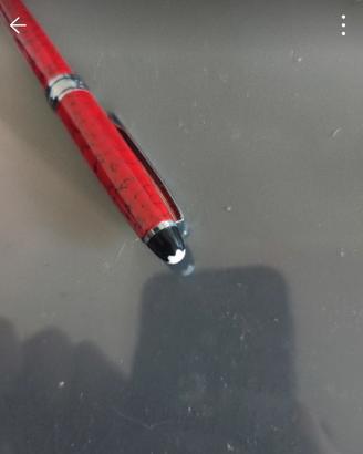 penna montblanc 