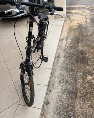 Bici totem dolphin