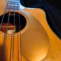 BASSO ACUSTICO FENDER KINGMAN