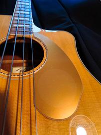 BASSO ACUSTICO FENDER KINGMAN