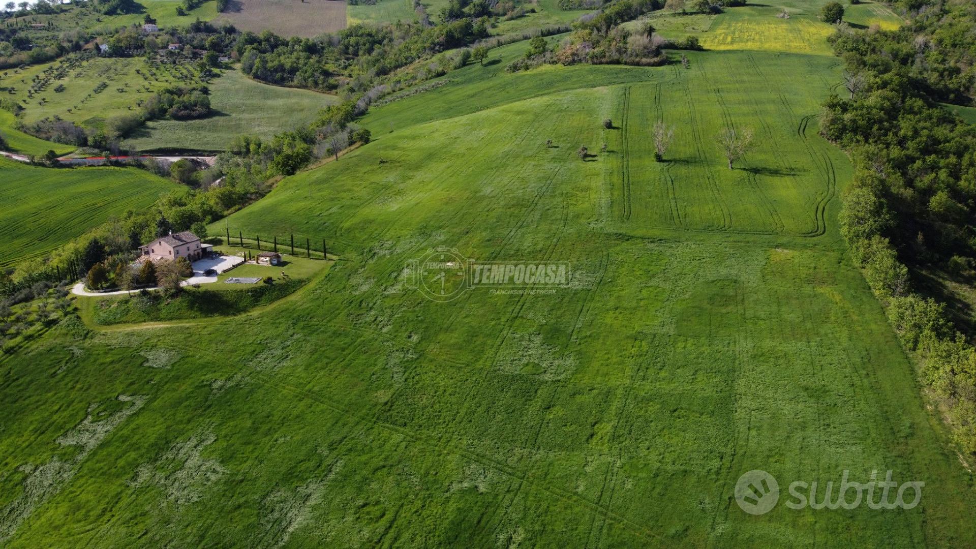 Terreno agricolo di 10 ettari seminativi - Vista 3