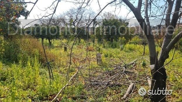 Terreno agricolo 14.000 mq a giarre - Vista 3