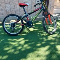 Bicicletta bambino 20 pollici 