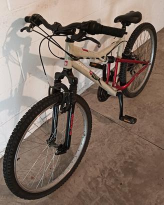 bicicletta x ragazzino 