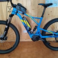 E bike