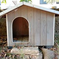 Casetta per cane