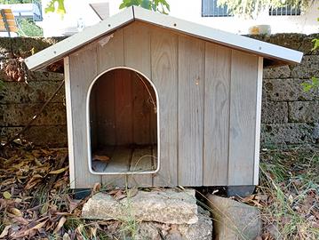 Casetta per cane