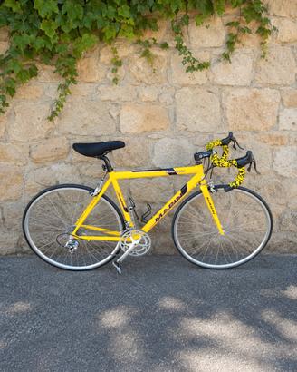 bici da corsa Marin 