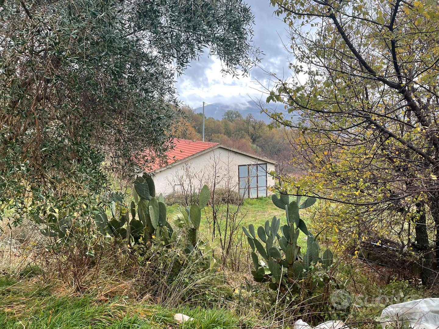 Fabbricato rurale e vigneto uliveto - Vista 5