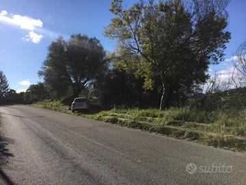 Terreno Agricolo e uliveto