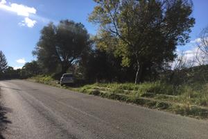 Terreno Agricolo e uliveto