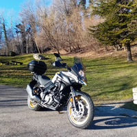 SUZUKI V-strom 650 XT (cerchi a raggi oro)