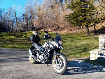 SUZUKI V-strom 650 XT (cerchi a raggi oro)