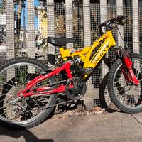 Bicicletta raggio 20