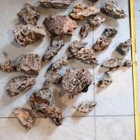 Rocce acquario o terrario