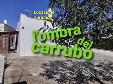 Casa Vacanze "L'ombra del Carrubo"