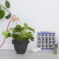 Lampada led per coltivare piante e fiori