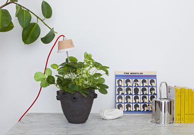 Lampada led per coltivare piante e fiori