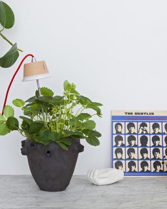 Lampada led per coltivare piante e fiori