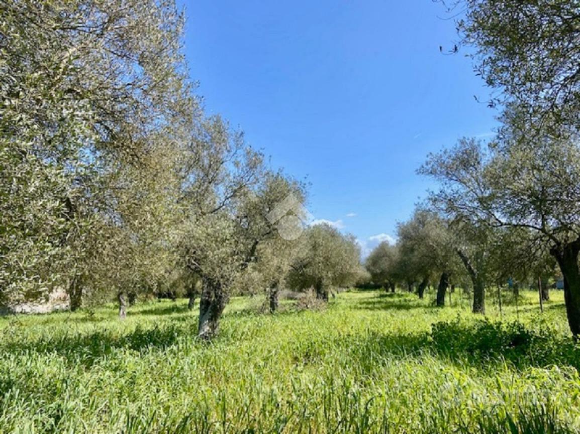 TER. AGRICOLO A ALGHERO - Vista 4