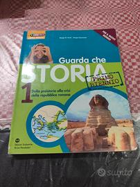 Guarda che STORIA 1