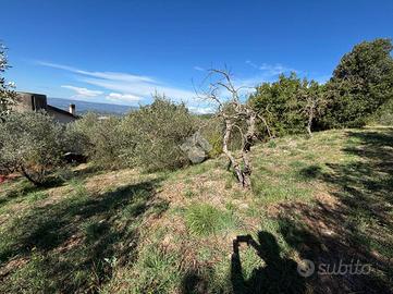 TER. RESIDENZIALE A LUGNANO IN TEVERINA