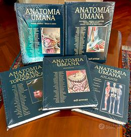 Anatomia umana Trattato e l'Atlante 2025 NUOVO