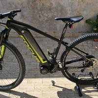 Bici assistita