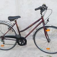 bicicletta donna 
